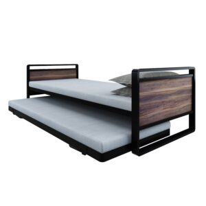Homdec Vega Sofa Cum Bed w/o Storage