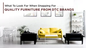 Buy Furniture from DTC brands